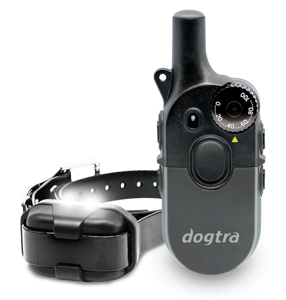 Електронашийник Dogtra 600iQ 171559 фото Електронашийник Dogtra 600iQ 171559 фото